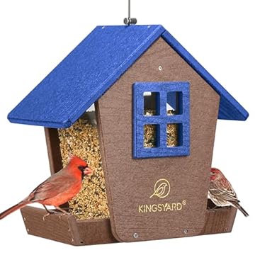 Recycled Plastic Bird Feeders That Will Transform Your Garden Experience 1 recycled plastic bird feeders