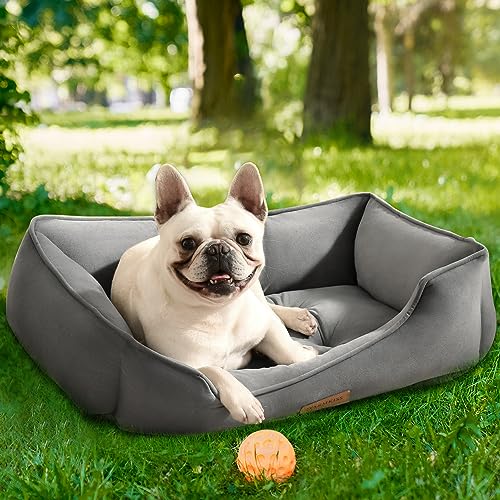 discover-the-top-10-pet-bed-manufacturers-and-improve-your-fur-baby-s