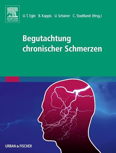 Preisvergleich Produktbild Begutachtung chronischer Schmerzen