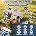 SnazFirst Probiotics for Dogs, Dog Probiotics Chews for Digestive Health & Gut Health, Improve Immune System,Constipation & Diarrhea Relief(Chicken Flavor, 150 Chews)