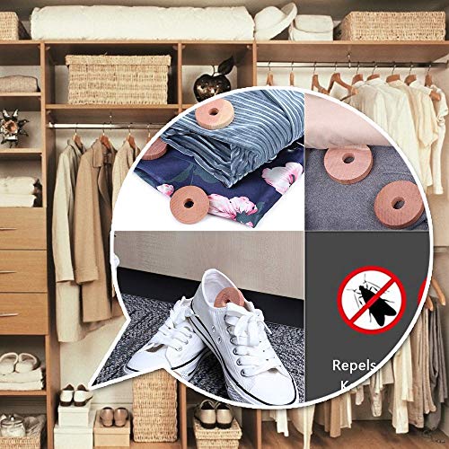 Cedar Space Cedar Blocks For Clothes Storage 100% Natural Aromatic Red Cedar Rings 72Pcs Protection For Wardrobes Closets And Drawers #TOP6
