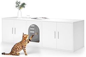 The Litter Box Sanctuary: An Oasis of Hidden Comfort for Two Feline Friends