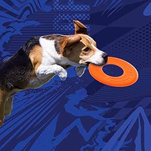 Nerf Dog 10in Atomic Flyer – Orange