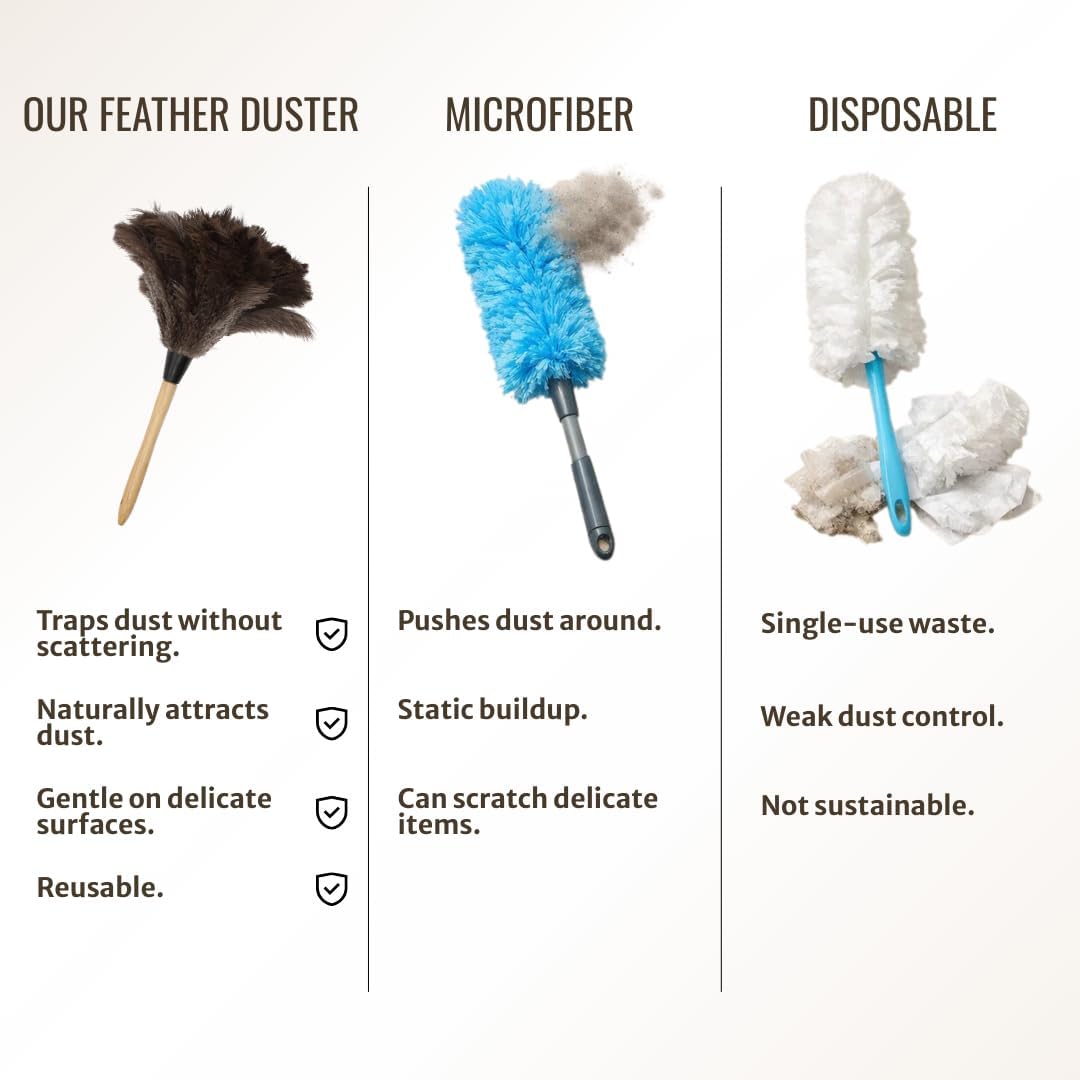 Ostrich Feather Duster with Wooden Handle 14" – Natural Reusable Feather Duster for Cleaning, Furniture & Shelves, Blinds, Ceiling Fan, Dusting Tool for Home, Office, Delicate Surfaces - 1 Pack