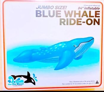 『クジラ乗り場はこちらです』 mqdefault.jpg