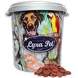 Lyra Pet