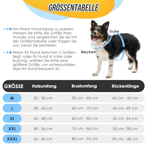 Eyein Hundemantel Winter für Große Hunde, Wasserdicht Hundejacke mit warmem Fleecefutter und Halsband, Winddichter Wintermantel Hund mit Bauchschutz und Verstellbarem Brustriemen, Blau, XXL