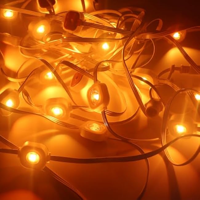 REXTiN Permanent Outdoor Lights 100ft: Smart RGB + IC Eaves Lights IP65 Waterproof for House Party Garden Daily - Compatible with Alexa Google Assistant