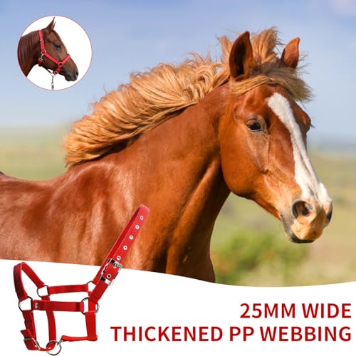 Cabestro para caballos ajustable de cuerda liviana con hebilla de metal 5