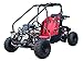 125cc Gokart Gk110 Kandi Mini Raptor 125cc Kart Gokart with Reverse and Big 16 inches Wheels for Gas Go Kart Kids and Youth (Pink)