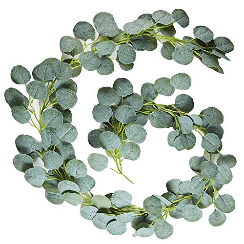 Hojas De Eucalipto Mercadona ️ Mejores alternativas online