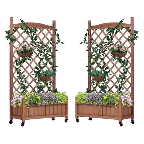 Raised Garden Bed with Trellies 2 Pack, Outdoor Wooden Planter Box for Climbing Plants, Vegetables Herb Growing Cover