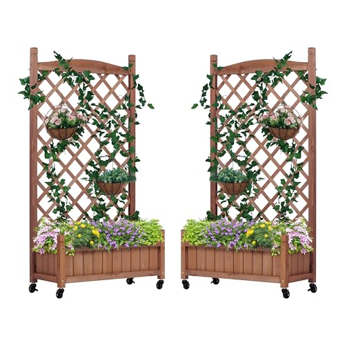 Raised Garden Bed with Trellies 2 Pack, Outdoor Wooden Planter Box for Climbing Plants, Vegetables Herb Growing
