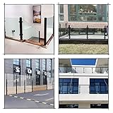 WDJBPSH B0BVQZF41Q lato 2