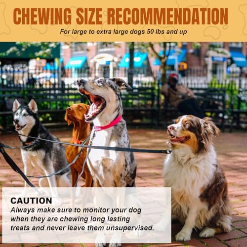 Amzey 10 Inch Rawhide Retriever Rolls Dog Chews Treats thumb #5