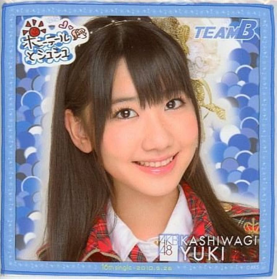 Amazon.co.jp: AKB48 ポニーテールとシュシュ 推しタオル TEAM-B