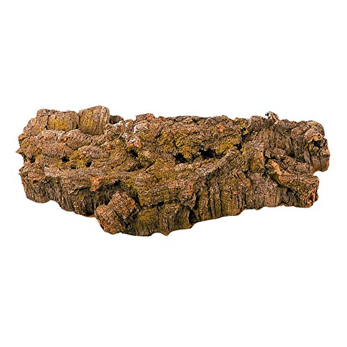 ビカクシダ 着生材のコルク板のカット方法 ビカクシダと僕の趣味ブログ