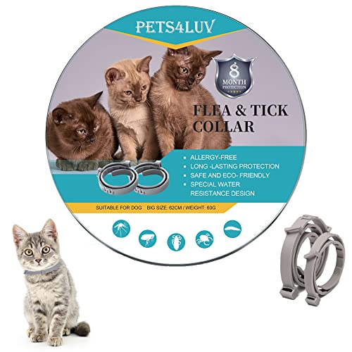 Pets4Luv Collier Anti-puces pour Chats, Taille Unique, à Base d'huiles essentielles, Anti-puces et Anti-tiques sûr et Efficace, Design étanche et détachable, 16 Mois 2 pièces Cover