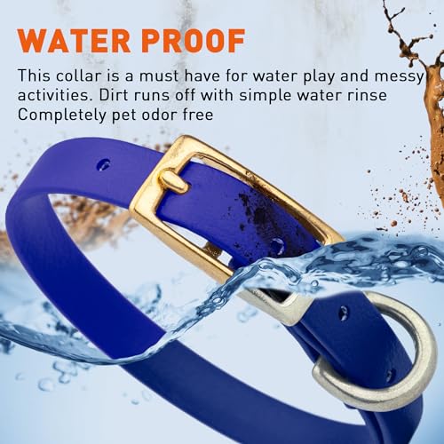 Image of Viper Biothane Heavy Duty Waterproof Dog Collar Strong Coated Nylon Webbing w /Solid Brass Hardware Odor-Proof Easy to Clean High Performance Fits Small Medium or Large Dogs, Blueberry Royal