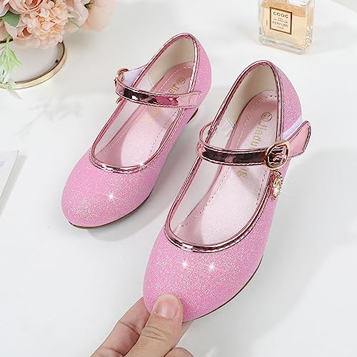 Girls Heels Dress Shoes Mary Jane Pumps Low Heel Princess Flower Wedding Party3