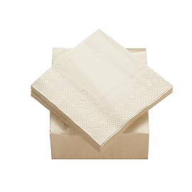 100 Pack Cocktail Napkin 2-Ply Dessert Napkins Folded 5 x 5 Inches Disposable Napkins for Dinner Wedding Birthday Baby Shower Party Bridal Anniversary Reception Event (100, Milky-White)
