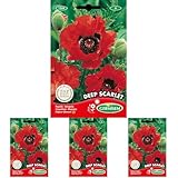 Un largo tiempo en las plantas a una altura de 10 cm