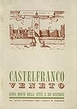  Castelfranco Veneto: guida breve della città e dei dintorni nel quinto centenario della nascita di Giorgione.