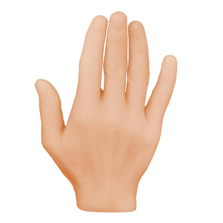 ハンドマネキン(右手) Amazon | h.effect (エイチエフェクト) ハンドマネキン 右手