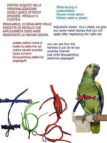 Arnés para caique con cuerda elástica de 3 mm amarilla y conector regulable 7