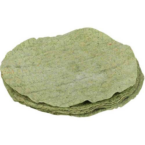 Shelf Stable Spinach Flavored Tortilla Wrap by Mexican Original – Commercial Grade