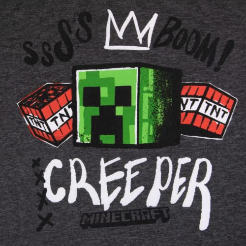 Image of Minecraft Boys 3 Piece Fleece Pants Sets, Crew Neck Sweatshirt, T-Shirt, and Pants 3-Pack Bundle Set for Boys