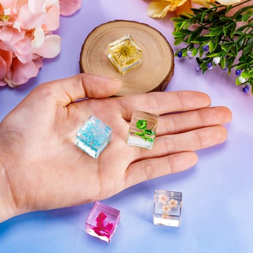 Sparkeads Briefbeschwerer mit gepressten Blumen, getrocknete Blumen aus Harz, transparent, Würfel, Briefbeschwerer für Schreibtisch, Ornament, Heimbüro, Dekoration, 5 Stück