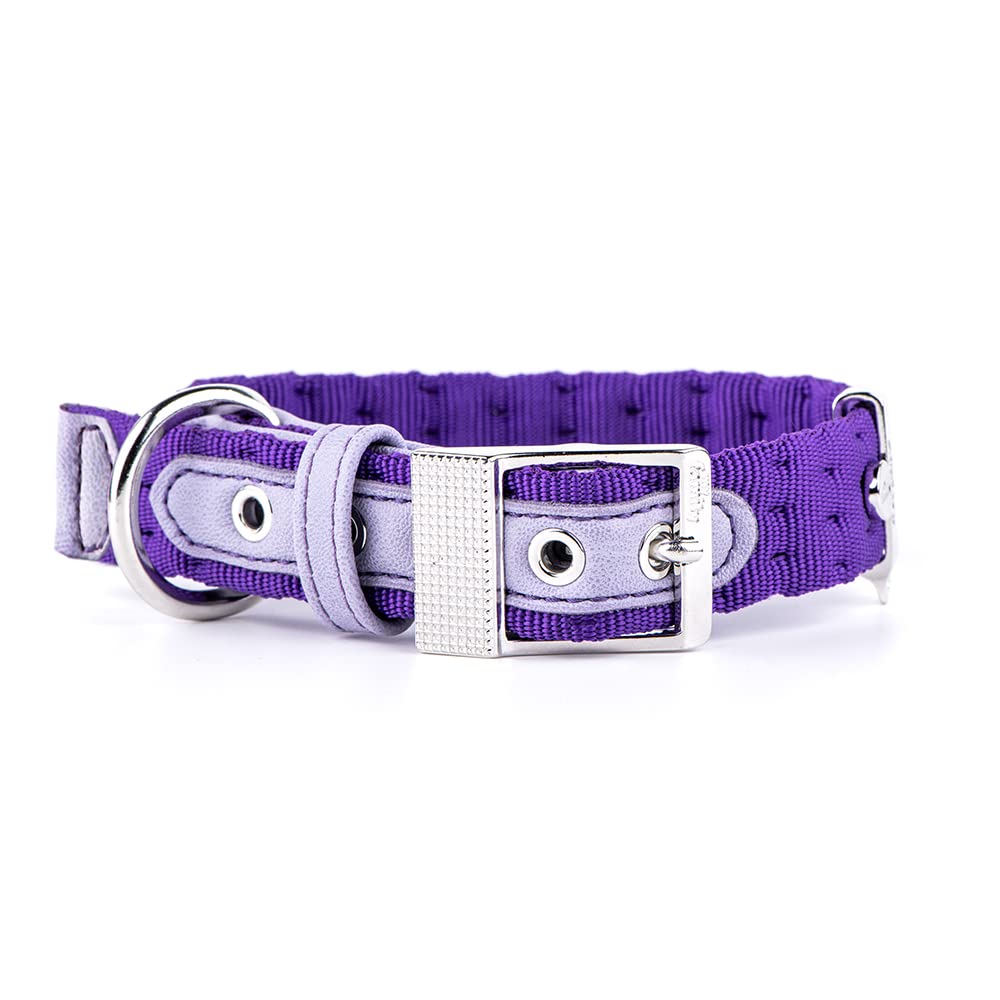 MyFamily Collar De Perro Ajustable En Nylon Made In Italy, Acabado Metálico En Bronce Blanco, Cómodo Y Resistente, Hecho A Mano, Colección Mlano