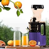 Cold Press Juicer