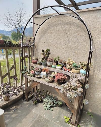 Pergola robuste en acier marron 350 cm de hauteur pour jardin fleuri - 3
