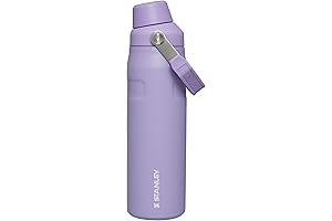 Stanley Quencher Tumbler: Hydration on the Go!