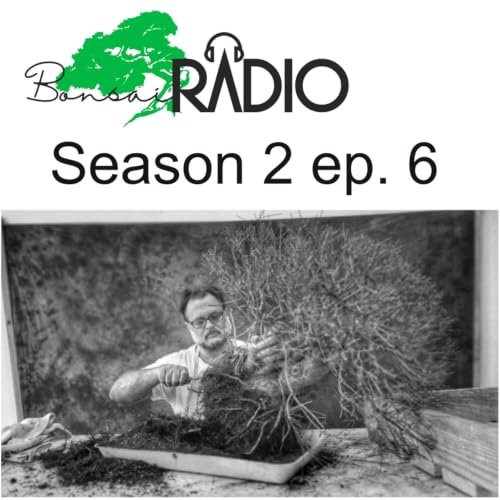 s2e6 - Entrevista Leo Pichardo
