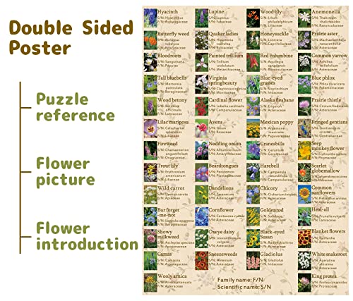 Bboldin Vintage Wildflowers Puzzle 1000 Pieces For Adult, Botany Plant Flower Puzzle Of Wildflowers Of North America, Floral Jigsaw Puzzles Nature thumb #2
