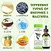 Probiotic for Dogs, Natural 3 in 1 Dog Probiotic Drops Helps Relieve Diarrhea, Supports Gut Health, Itchy Skin, Allergies, Immunity, Digestive Enzyme for Dog Supplement, Bacon Flavor - 60ml / 2 fl.oz