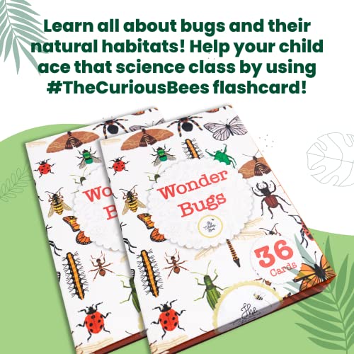 Image of Wonder Bugs | 36 Laminated Anti-Glare Cards | Montessori Inspired Fun & Easy to Learn Toys for Kids