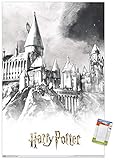 Trends International The Wizarding World: Harry Potter - Illustrated Hogwarts Wall Poster, 22.375' x 34', Poster & Mount Bundle