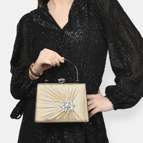 Image of Lavie Women's Ivy Framed Clutch | Ladies Purse Handbag