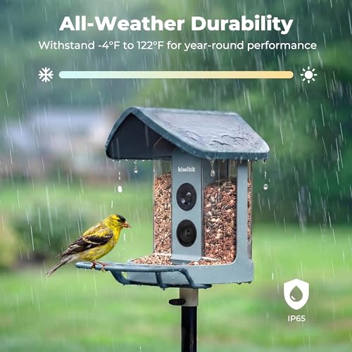 Image of Kiwibit Solar Smart Bird Feeder with Camera, 4K HDR Live Video, AI Bird ID