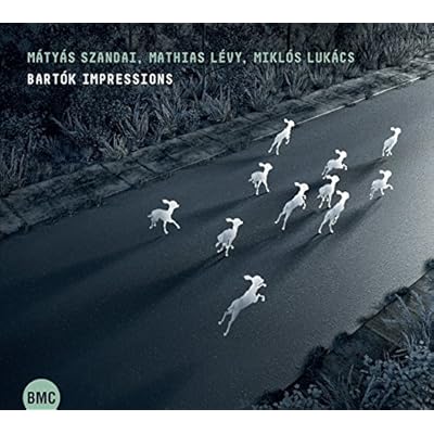 Bart&oacute;k Impressions