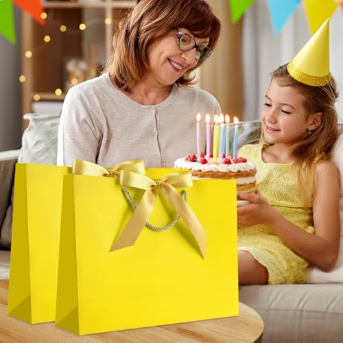Image of JMANNI Gift Bags with Handles, 13 inch Medium Gift Bags with Tissue Paper