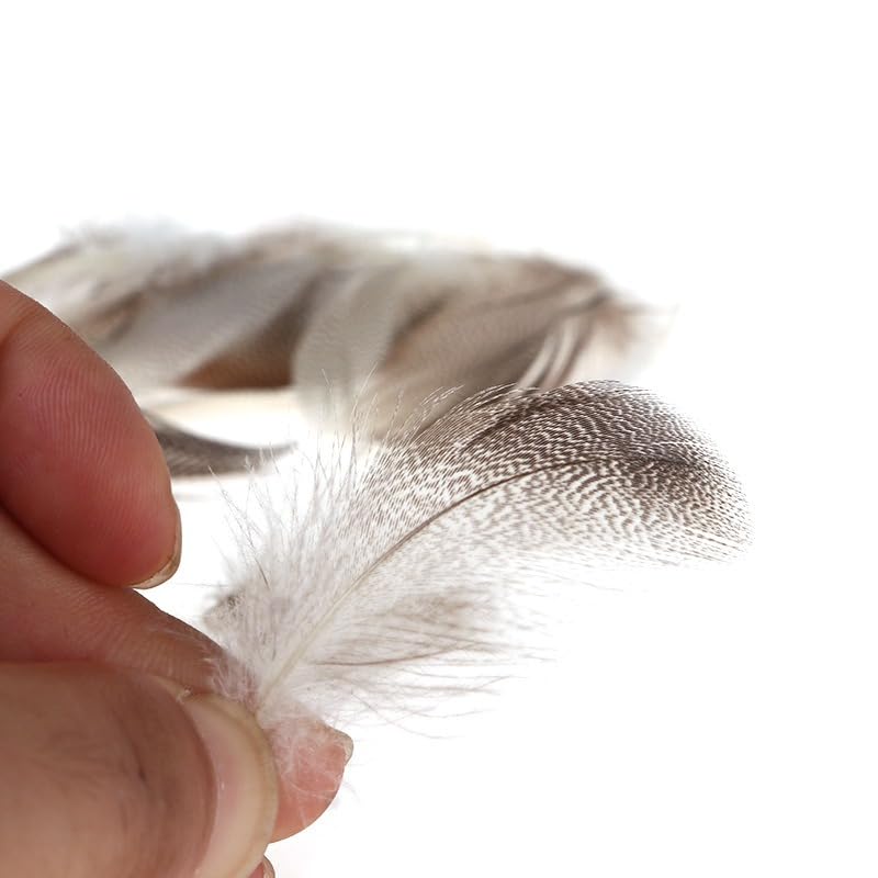Plumas naturales de pato mallard 50 piezas para atado de moscas miniatura 3