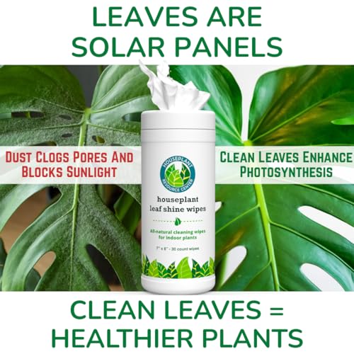 Houseplant Leaf Shine & Cleaner Wipes | Removes Dust, Dirt & Water Spots for Healthier, Glossy Leaves | Easy-to-Use Natural Leaf Cleaning Wipes for Indoor & Outdoor Plants | 30 Count by HOUSEPLANT RESOURCE CENTER - Image 5