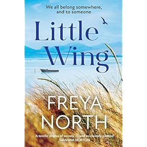 Little Wing: An emotional and heartwarming story, perfect for autumn 2022