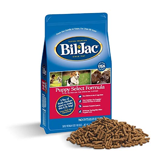 Discover the Best Frozen Bil Jac Dog Food Top 10 Products Reviewed and