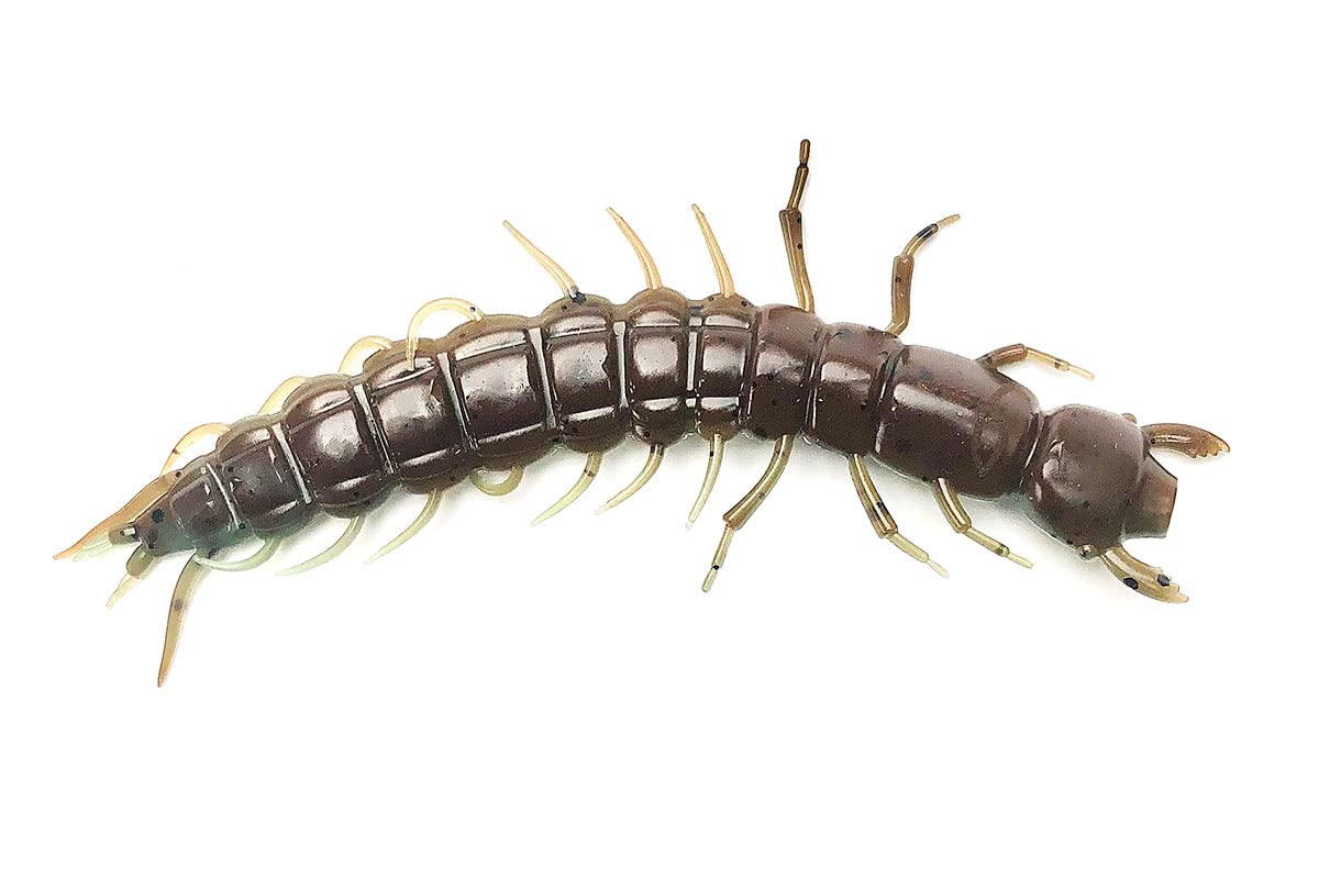 Tackle Max Hellgrammite Soft Plastic Fishing Lure - Super Realistic Bass and Trout Bait, 3.7", 8 Pack